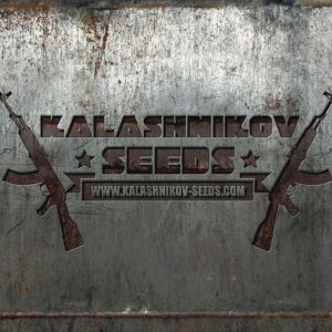 Mix Auto Feminised Seeds - 14