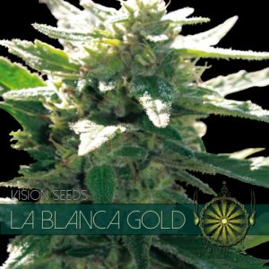 La Blanca Gold Feminised Seeds