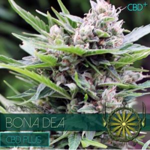Bona Dea CDB+ Feminised Seeds