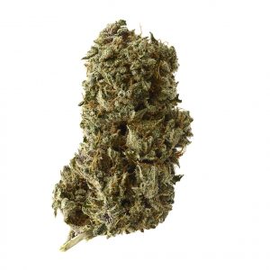 Kosher Tangie Kush Feminised Seeds