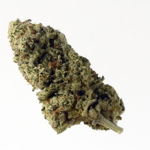 Green Magic Feminised Seeds