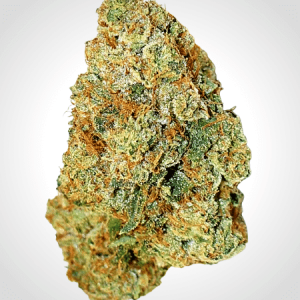 Expert Gorilla Auto Feminised Seeds