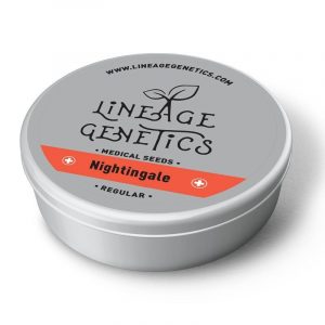 Nightingale Regular Seeds