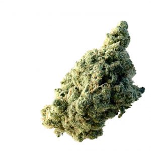 Lemon Ice Feminised Seeds