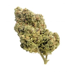 Skyrocket Feminised Seeds