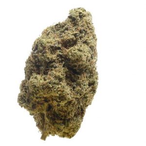 Choco Cheesecake Feminised Seeds