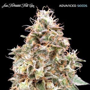 Forbidden Fruit Auto Feminised Seeds