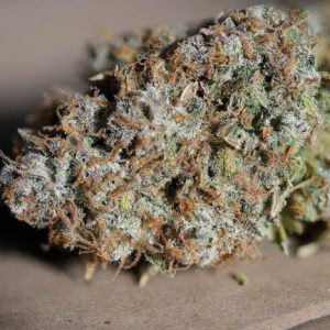 Jealousy Auto Feminised Seeds - BULK x 100