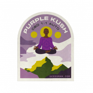 Purple Kush CBD 1:1 Auto Feminised Seeds