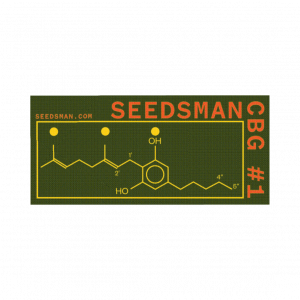 Seedsman CBG #1 Feminised Seeds