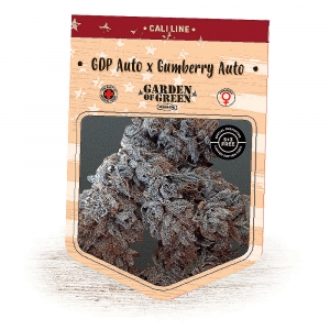 GDP Auto x Gumberry Auto Feminised Seeds - 10