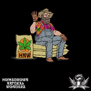 The Eleven Regular Seeds