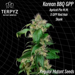 Korean BBQ GPP Regular Seeds
